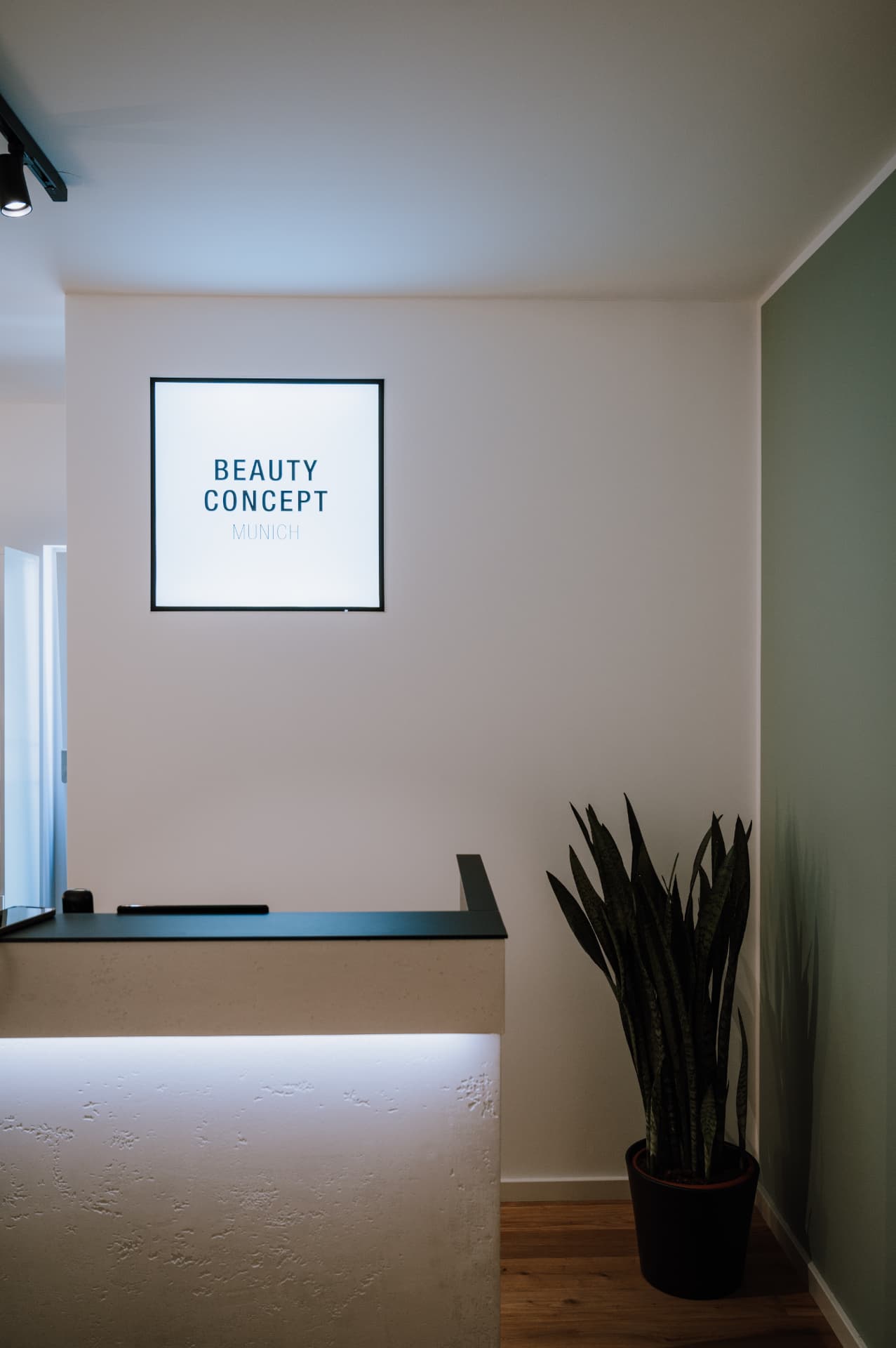 Empfangstheke von Beauty Concept Munich mit indirekter Beleuchtung und beleuchtetem Logo an der Wand